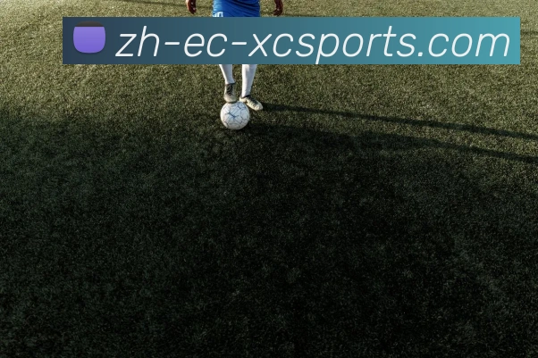 App Interface Preview