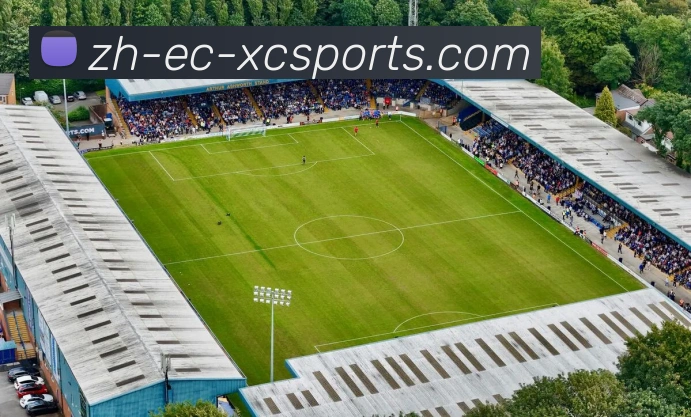 杏彩体育APP 封面图